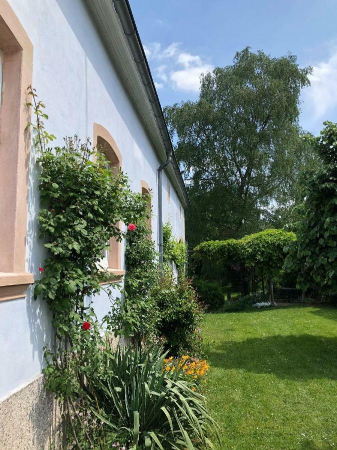 Ferienwohnung Maurer Hasborn-Dautweiler Exterior foto